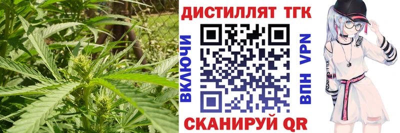 ТГК гашишное масло  Голицыно 