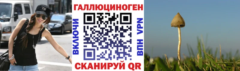 Псилоцибиновые грибы мухоморы  Голицыно 