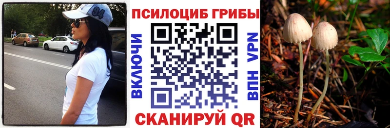 Псилоцибиновые грибы Magic Shrooms Голицыно